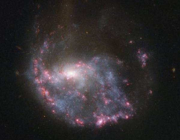 Кольцевая галактика NGC 922.